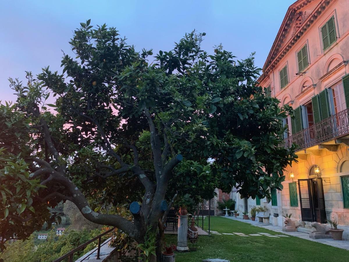 Agriturismo Villa Cavallini Камайоре Екстер'єр фото